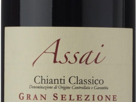 Terra di Seta Chianti Classico Gran Selezione Assai 2013 For Cheap