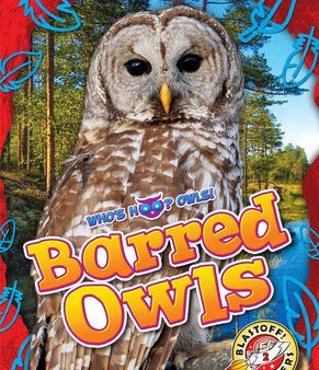 Barred Owls For Discount