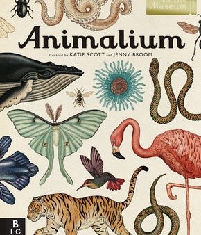 Animalium: Welcome to the Museum For Cheap