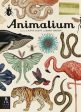 Animalium: Welcome to the Museum For Cheap