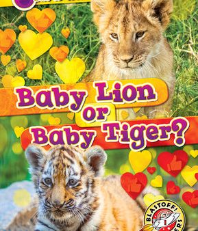 Baby Lion or Baby Tiger? For Discount