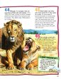 100 Facts Big Cats Online now