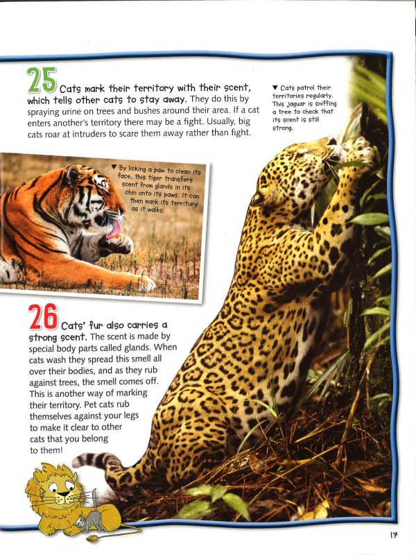 100 Facts Big Cats Online now